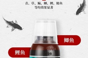 掌握钓鱼小药使用技巧，提升钓鱼效果（以了解这3个钓鱼小药使用技巧为主题，让你轻松成为钓鱼高手）