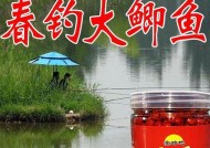 干小麦钓鱼正确方法和技巧是什么？如何提高钓鱼效率？