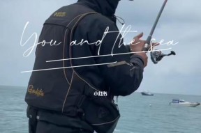 浮游矶钓技巧有哪些？如何提升浮游矶钓经验？