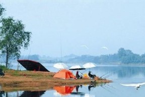 夏天钓鱼技巧手竿的秘密（夏日捕获丰收的关键）
