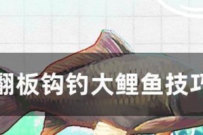 如何选择合适的钓鱼钩？掌握这些技巧提高钓鱼成功率？