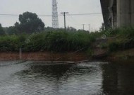 河南钓鱼技巧教程？如何快速掌握河南特色钓鱼方法？