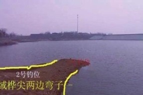 钓鱼拴钩技巧的常见问题有哪些？如何解决？