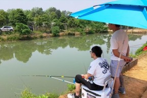 草鱼池钓鱼技巧有哪些？如何提高钓获率？