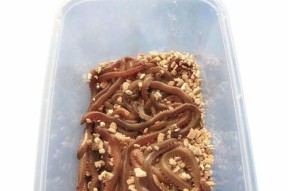 仿生虫钓鱼技巧有哪些？如何提高钓鱼成功率？