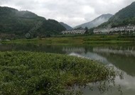雨天野钓鱼的技巧（在雨天中钓鱼）