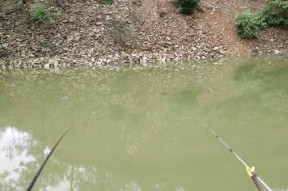 雨后混水钓鱼的技巧与窍门（捕获丰富的渔获）