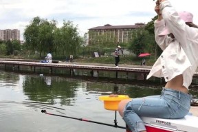 肥水塘钓鱼的5大技巧是什么？如何提高钓鱼成功率？