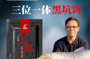 江河钓鱼之钓位打窝钓饵选择技巧（掌握钓位、打窝和钓饵三大关键）