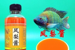 凤梨屋钓鱼技巧教程？如何快速掌握钓鱼技巧？
