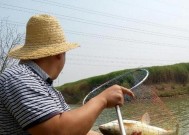 手竿钓鱼技巧调平水钓一目（轻松掌握调平水钓技巧）