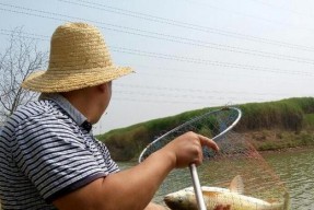 手竿钓鱼技巧调平水钓一目（轻松掌握调平水钓技巧）