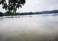 水域钓鱼绝招技巧（钓鱼高手的必备技巧与经验分享）