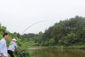 钓鱼小技巧教学（掌握钓鱼的方法和技巧）