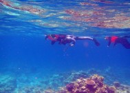浮潜钓鱼最佳方法和技巧是什么？如何提高浮潜钓鱼的成功率？