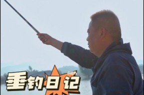 电线杆钓鱼技巧教学？如何安全有效地进行？
