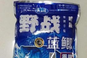 野战蓝鲫钓小鱼的技巧（掌握这些技巧）