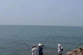 钓鱼高招，提升钓低技巧（以钓鱼调高钓低的技巧教程）