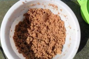 发酵鱼饵制作技巧（打造诱人鱼饵的秘诀）