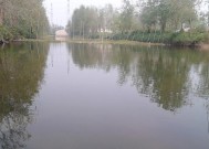 探秘河道钓鱼技巧（流水垂钓）