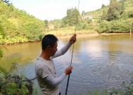 不喂饲料钓鱼技巧和方法有哪些？如何提高钓鱼成功率？