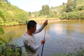 不喂饲料钓鱼技巧和方法有哪些？如何提高钓鱼成功率？