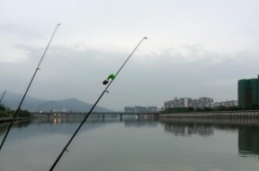 河里浑浊钓鱼技巧？如何应对浑水钓鱼的挑战？