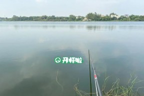 高温秋季钓鱼的选时选位技巧（提高钓鱼效果的关键技巧与方法）