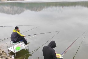 江河野钓流水闷竿稍钓鲢鳙技巧（江河野钓中使用流水闷竿稍钓鲢鳙的技巧）