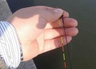 浮钓钓草鱼时如何调整浮漂？掌握这些调漂技巧能提高成功率吗？