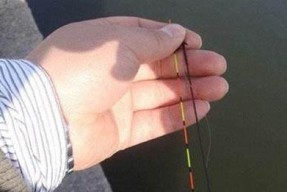 浮钓钓草鱼时如何调整浮漂？掌握这些调漂技巧能提高成功率吗？