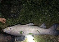 夜钓浮漂提竿技巧与方法教程（提升夜钓成功率）
