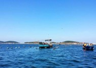 赶海钓鱼捉海鲜技巧有哪些？如何提高成功率？