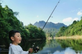 丰乐水库钓鱼技巧有哪些？如何提高钓鱼成功率？