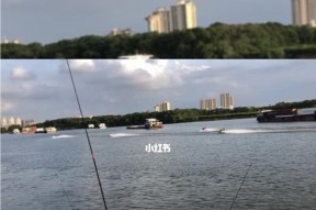 钓鱼新手如何快速掌握钓鱼技巧？有哪些必备的入门技巧和建议？