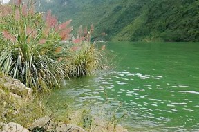到河里钓鱼有哪些技巧？如何提高钓鱼成功率？
