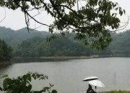 河南帝湖钓鱼技巧有哪些？如何提高钓鱼成功率？