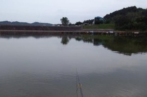 东北夏天水库钓鱼技巧（掌握钓鱼技巧）