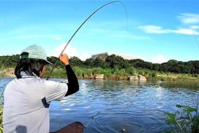 春季钓鱼时如何选择最佳钓位？有哪些技巧可以提高钓鱼成功率？
