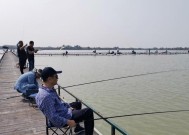 如何掌握正确的钓鱼收竿技巧？收竿时常见的问题有哪些？