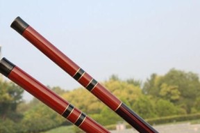 软鱼竿钓鱼技巧揭秘（享受钓鱼的乐趣）