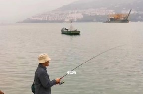钓鱼脱钩技巧教程简单？如何快速掌握脱钩技巧？
