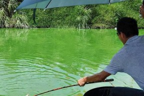 钓鱼大鱼打窝技巧（掌握钓鱼技巧，成功打窝）