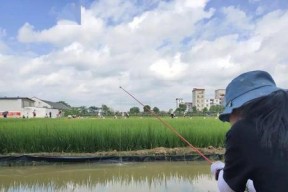 钓鱼钓虾的正确方法和技巧（享受休闲娱乐乐趣，轻松捕获丰富渔获）