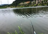 打窝竿钓鱼技巧与方法（掌握这些窍门，让你的钓鱼更有成效！）