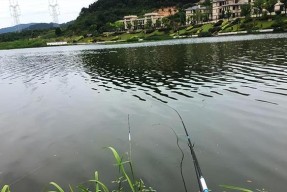 打窝竿钓鱼技巧与方法（掌握这些窍门，让你的钓鱼更有成效！）