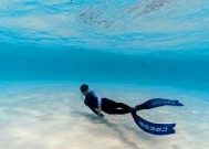 西沙浮潜钓鱼秘籍（掌握这些技巧）