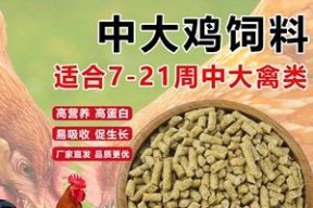 鹅饲料钓鱼打窝技巧有哪些？如何正确使用鹅饲料进行打窝？