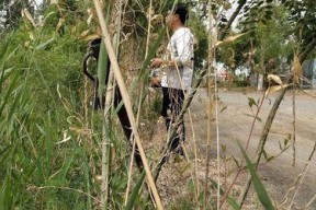 如何运用钓鱼心诚则灵技巧提高钓鱼成功率？