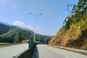 地蚕钓鱼技巧和方法有哪些？如何提高钓鱼成功率？